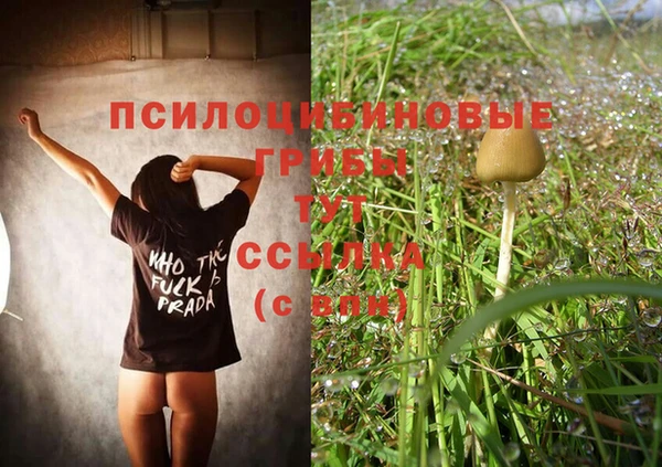 марихуана Саяногорск