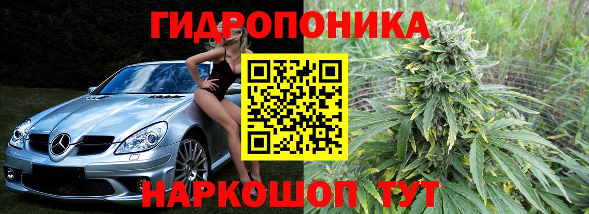 Конопля Bruce Banner  Канабис конопля  Марихуана гибрид  Вход с VPN  Рославль  МАРИХУАНА Ganja 